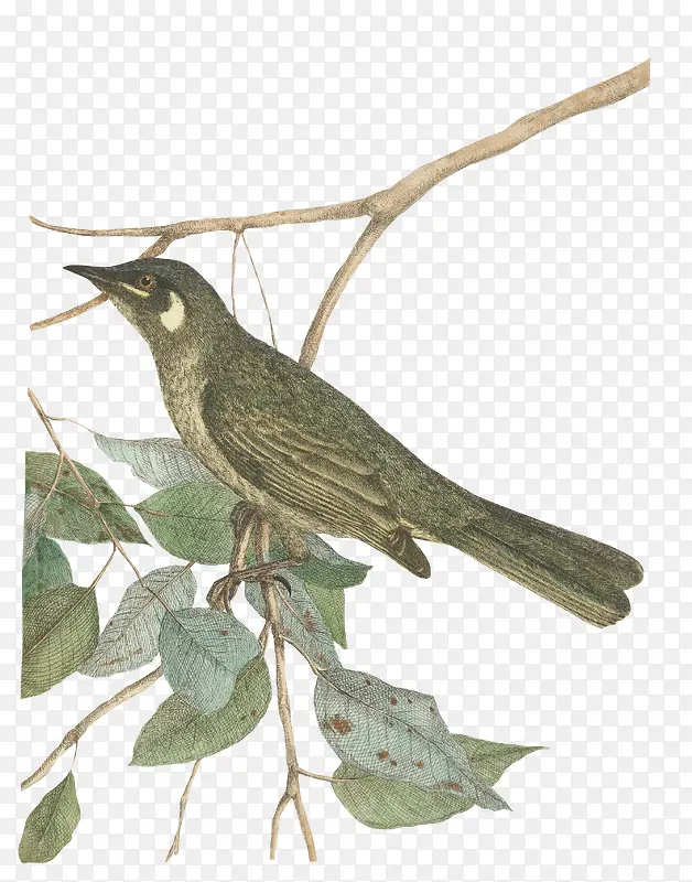 ��-������