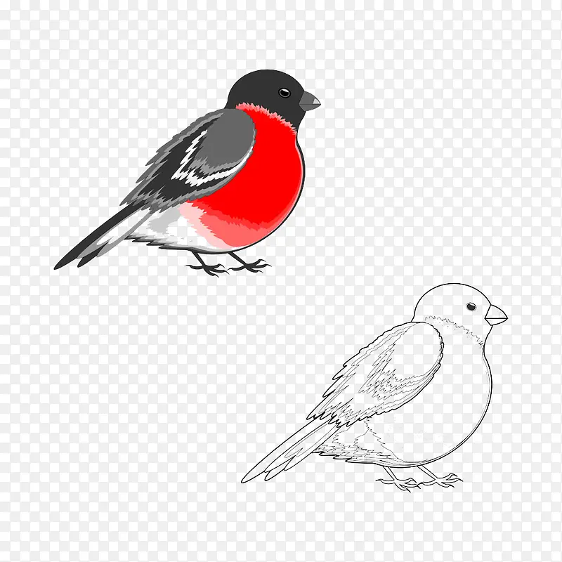 �����-������