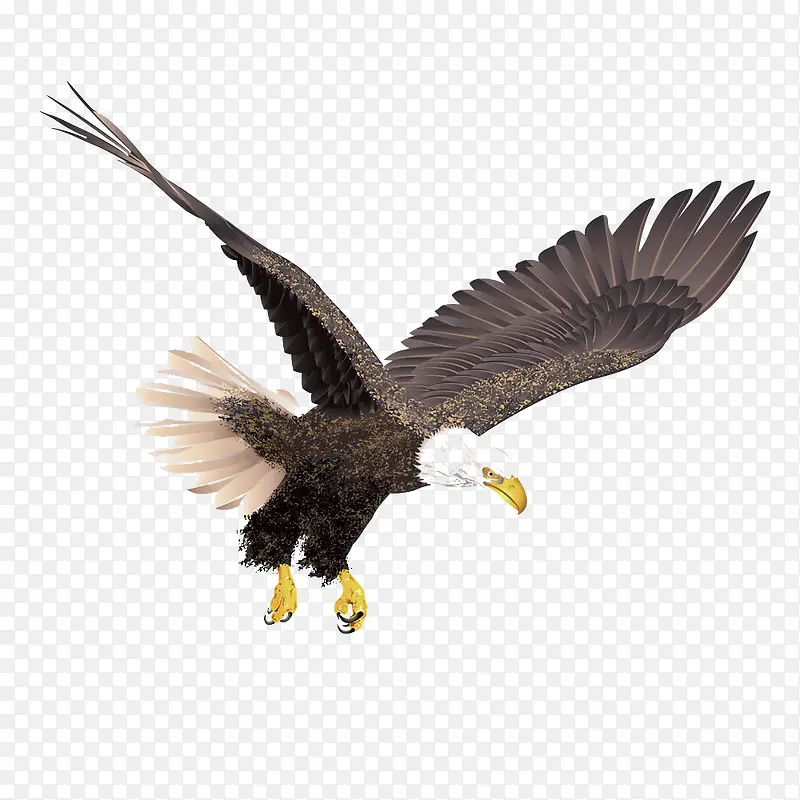 �������ӥ-������