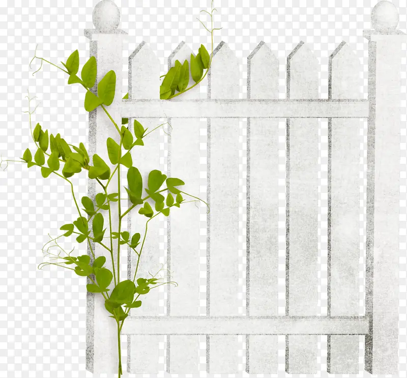 ���С��-������