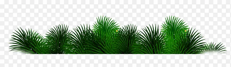 ʥ��Ԫ��������ɫ��-������