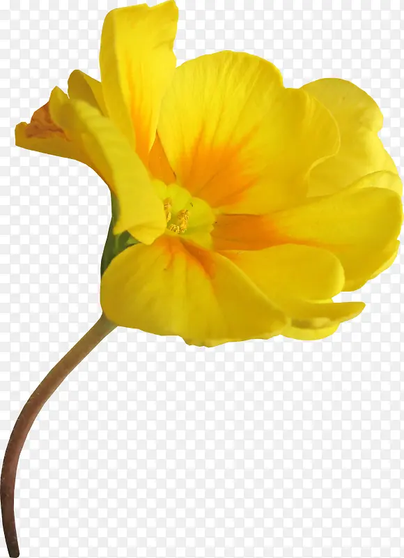 ����ʸ��ͼ�ز�ˮ�ʻ���-������