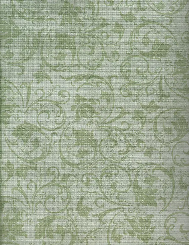 ��ɫ���Ʊ���-������