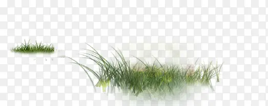 ��-������