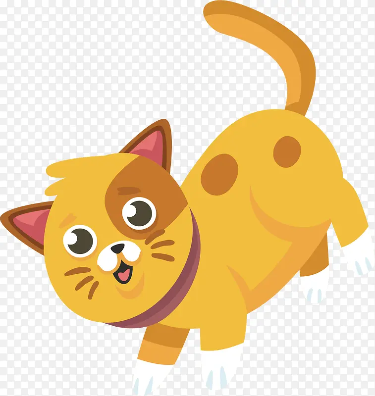 ��ͨСèPNG����-������