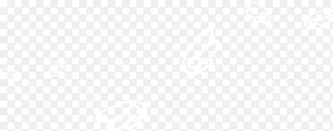 �ֻ�Ư���ĳ��-������