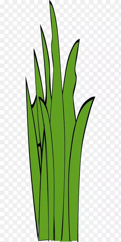 ��������������-�̲�-������