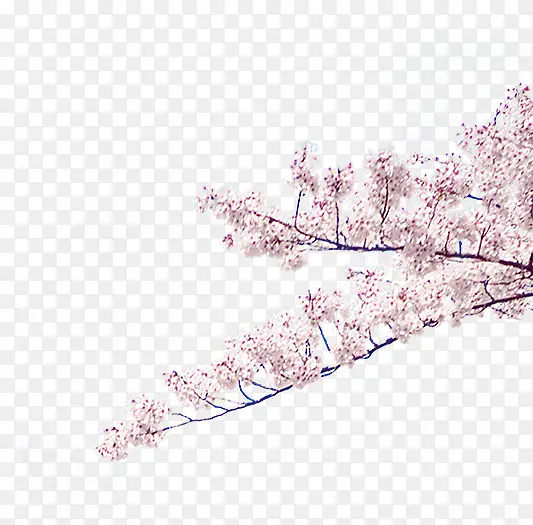 ��ɫ÷��������֦-������