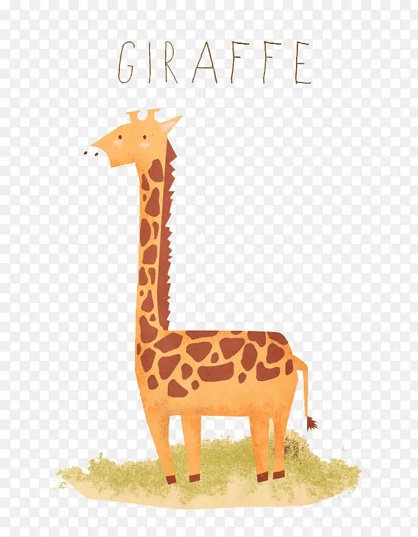 �ֻ泤��¹-������