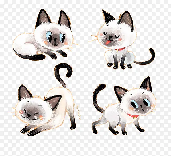 ��ͨСè-������