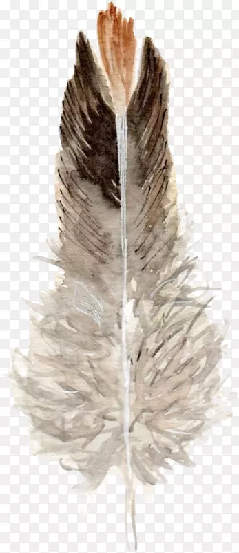 ��ë-��ë-������