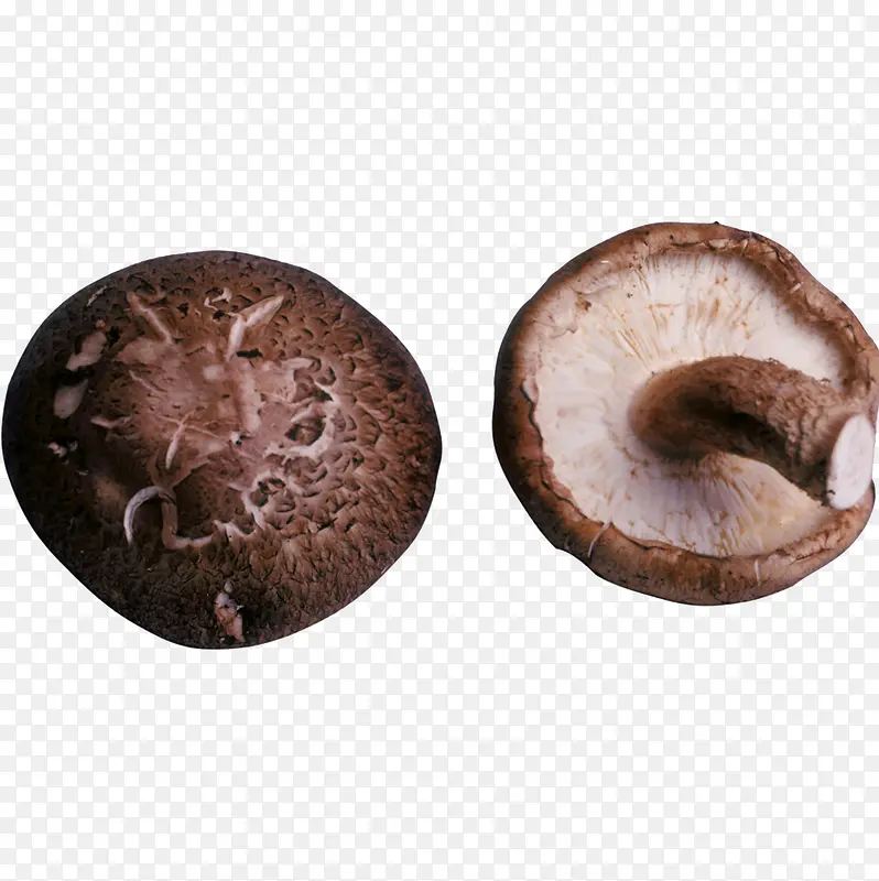 �㹽-������