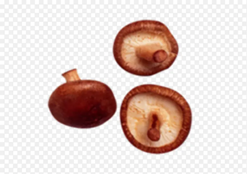 �߲��㹽-������