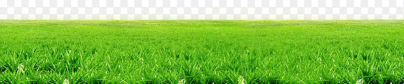 ��ԭ-������