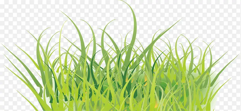 С��-������