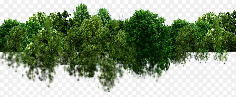 �ݵ�-������