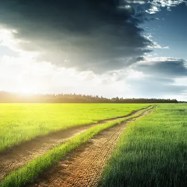 ������Ӱ������ȾЧ����ԭ-������