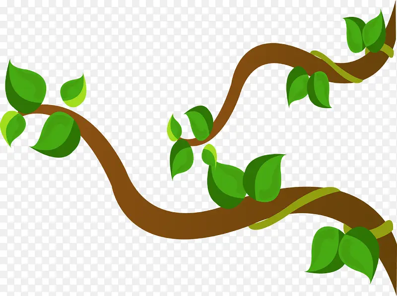 ��ͨ��ɫ������֦�羰-������