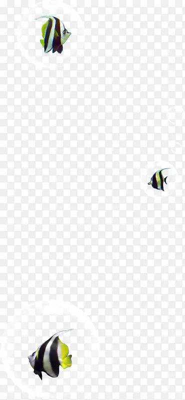 ����������Ⱥ��Ӱͼ-������