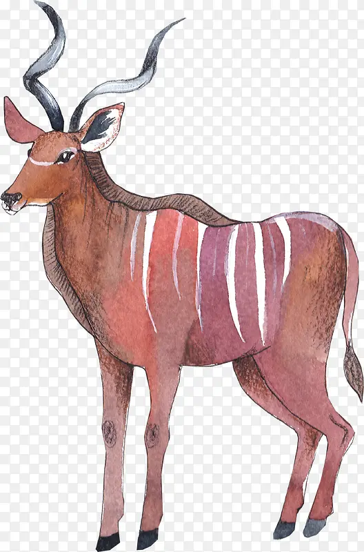 �ֻ涯��-������