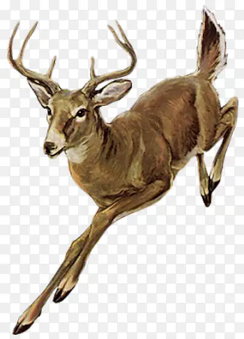 С¹�ֻ�-������