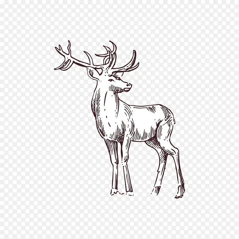 �ֻ�С¹-������