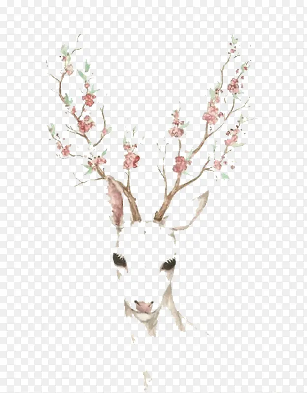 ˮ��С¹-������