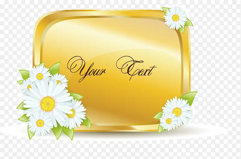 �����߿�-������