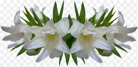 ˮ�����Ȼ�-������