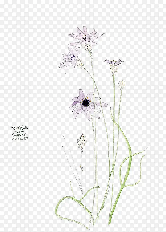 �ֻ�羰�߸�-������