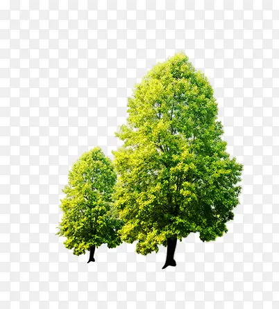 ��-������