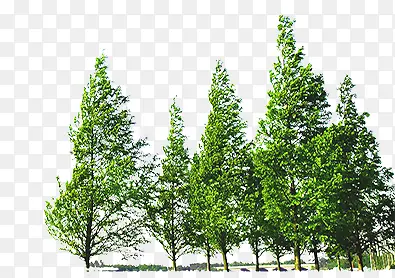 ��-������