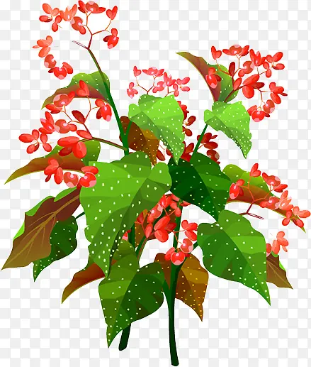 ����-������