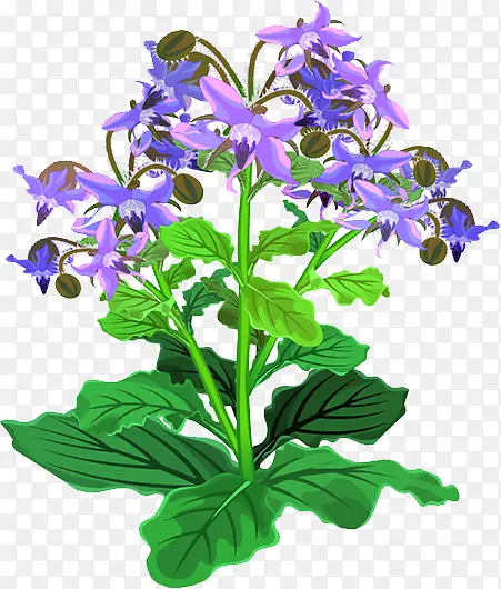 ����-������