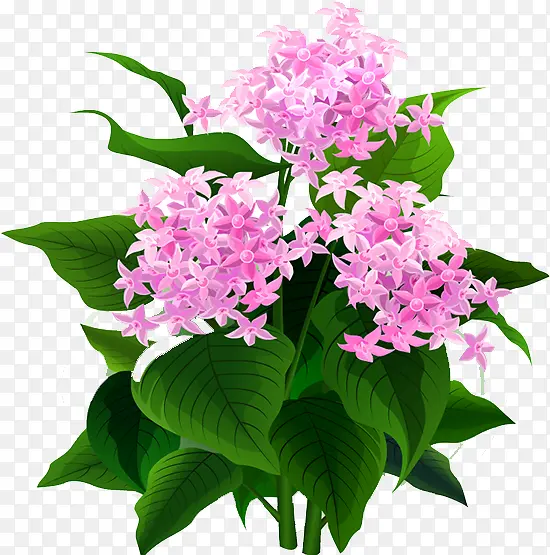 ����-������