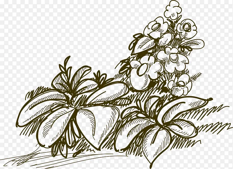 �ֻ滨��-������