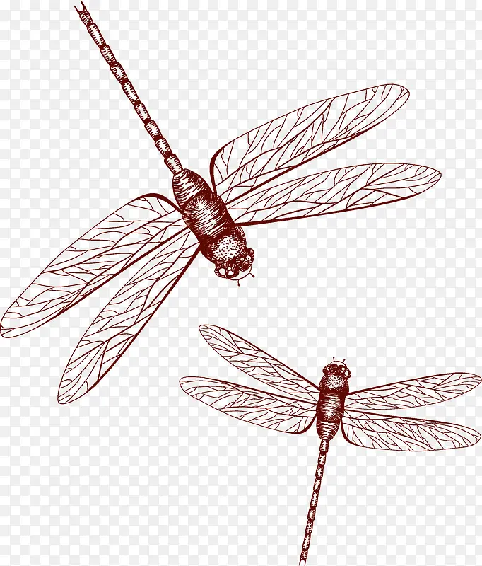 ����-������