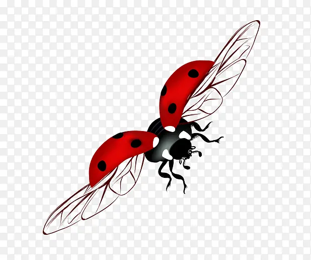 ��ͨ����ư��-������