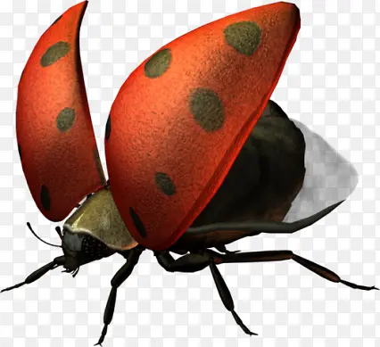 ��ͨư������ز�-������