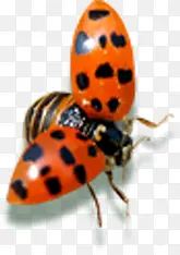 Ψ������ʱ��ư��-������