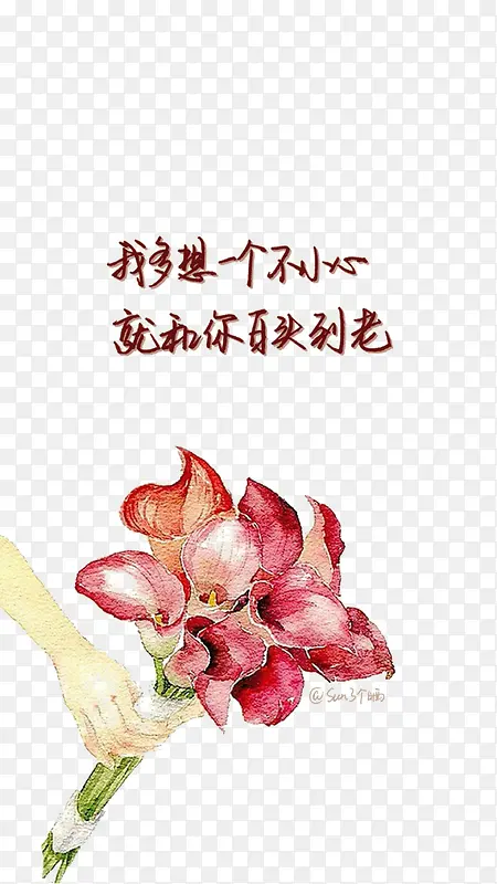 ��ͷ���ϵİ�-������