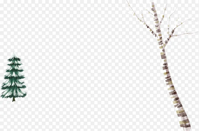 ������ɫֲ����֦-������