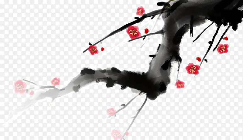 ÷����֦-������