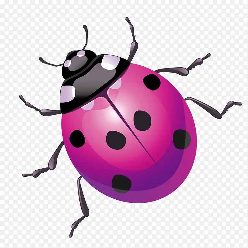 ��ɫ�ʸ���������ư��-������