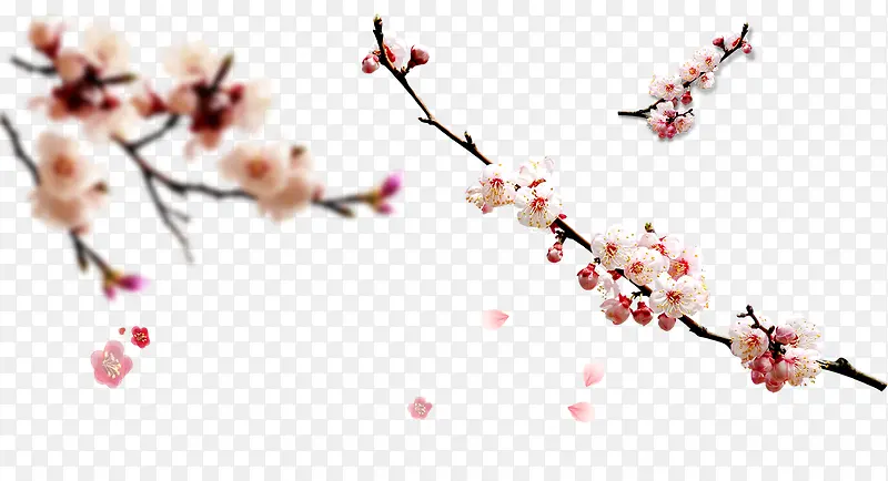 ÷���ֻ�÷��ˮ��÷��-������