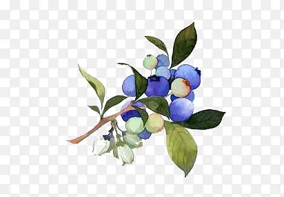 �ֻ�ˮ��-������