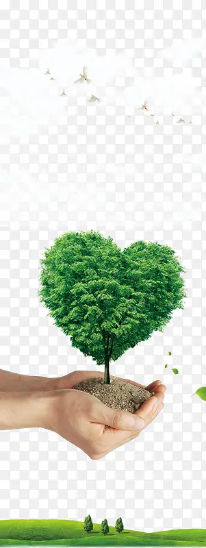 ������ҵ�Ļ�-������