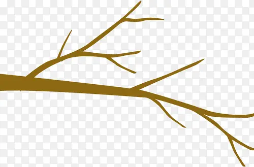 ��֦-������