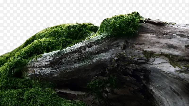 ����-������