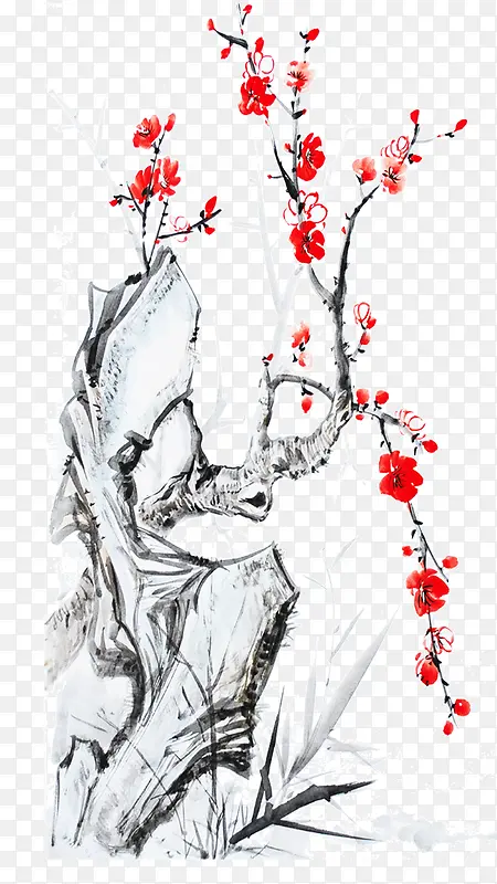 ��֦-������